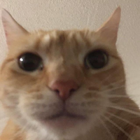 cavito