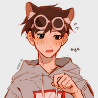 ShN0wy
