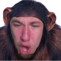 Steveleboss