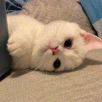 simongannzx