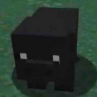 Aboobata