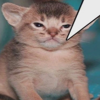 Pussyeater2005