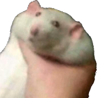 Mareleven