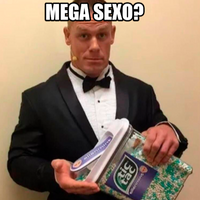 megalink25