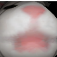 WaddlesTheZombie