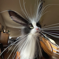 bunshaman