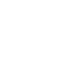 gT_216