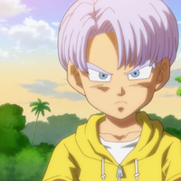 Trunks