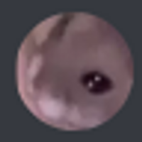 Tet_