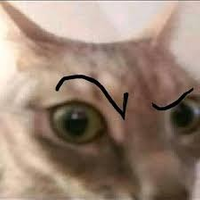 Leopocio
