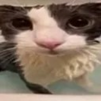 BeanerBlasta