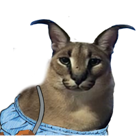 MrBigManPickles