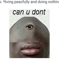jibarus