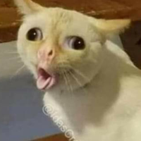Eden RN
