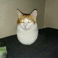 MondogoKing