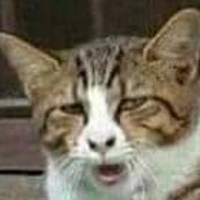 Pakkiri