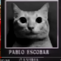 SimpAnrenUwU