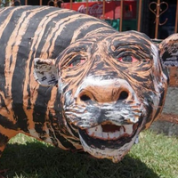 Tiger333HD