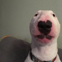 bunatub