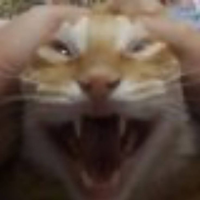 esbrouned