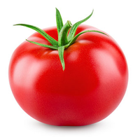 Tomato1o1
