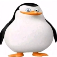 Erzero