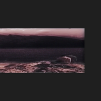 NTH_17