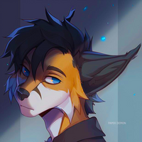 ShadowFFox