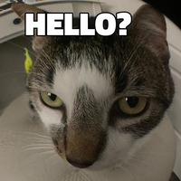 Gatoqueso