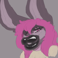 RemyDaBunBun