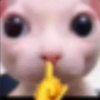 RobisUwU