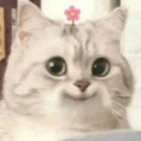Jjowyy