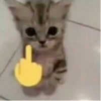 sebas_dhz