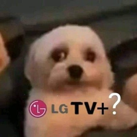 Neh55