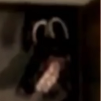 WeedStain420