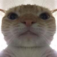 StyIus
