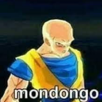 wydisra5