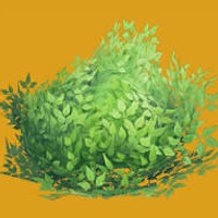One bushy boi