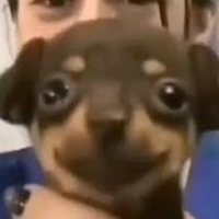 dannyhateu