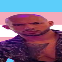 chiickentowst