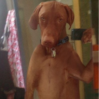 CapitanPitarch