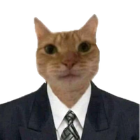 whosdash