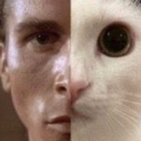 mmaaccttiiww