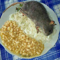 Elpanapesunas