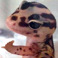 Wuu_