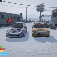 EvoX-_skiry