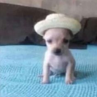 69 69 69