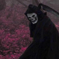 lOkNyR_