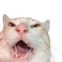 fanielaa
