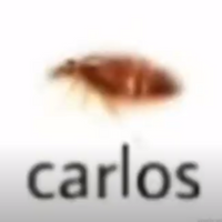 Nuggins